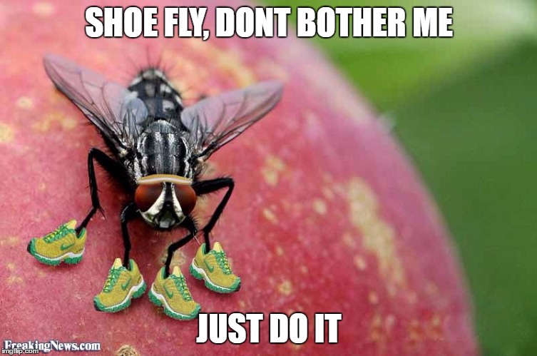 Shoe Fly | SHOE FLY, DONT BOTHER ME; JUST DO IT | image tagged in puns,bad pun,bad puns | made w/ Imgflip meme maker