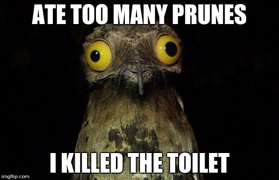 Weird Stuff I Do Potoo Meme | ATE TOO MANY PRUNES; I KILLED THE TOILET | image tagged in memes,weird stuff i do potoo | made w/ Imgflip meme maker