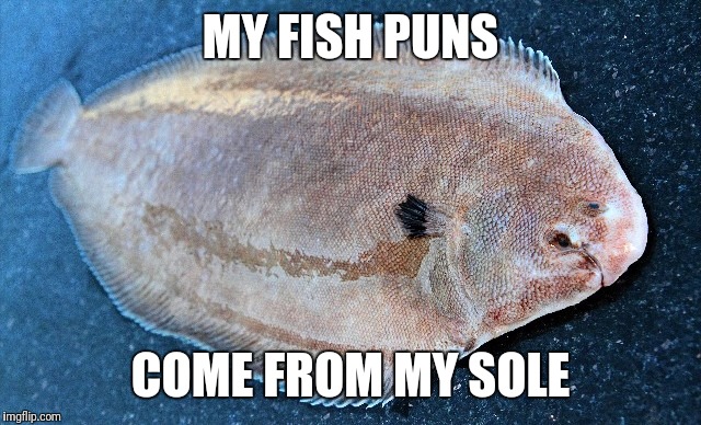 MY FISH PUNS COME FROM MY SOLE | made w/ Imgflip meme maker