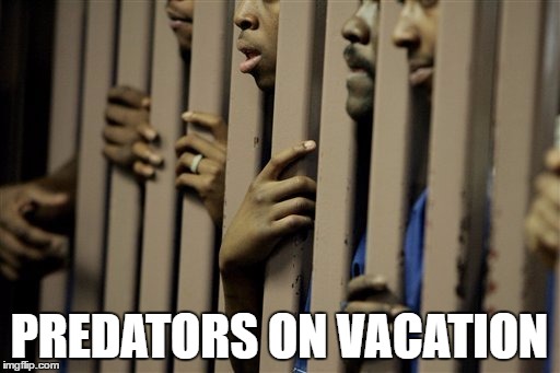 PREDATORS ON VACATION | made w/ Imgflip meme maker