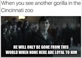 HE WILL ONLY BE GONE FROM THIS WORLD WHEN NONE HERE ARE LOYAL TO HIM | image tagged in harambe,harry potter | made w/ Imgflip meme maker