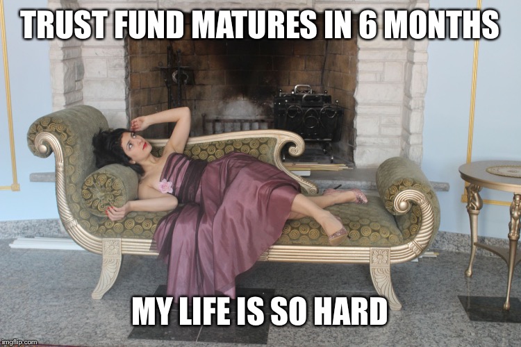 1% girl | TRUST FUND MATURES IN 6 MONTHS; MY LIFE IS SO HARD | image tagged in 1 girl | made w/ Imgflip meme maker