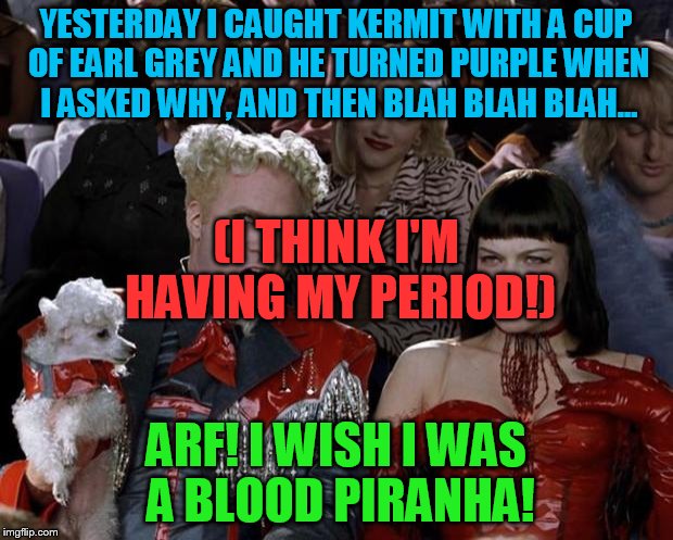 Blood and frogs! | YESTERDAY I CAUGHT KERMIT WITH A CUP OF EARL GREY AND HE TURNED PURPLE WHEN I ASKED WHY, AND THEN BLAH BLAH BLAH... (I THINK I'M HAVING MY PERIOD!); ARF! I WISH I WAS A BLOOD PIRANHA! | image tagged in slippy,slappy,fluffyknob the iii | made w/ Imgflip meme maker