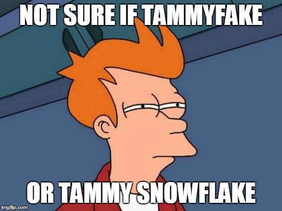 Futurama Fry Meme | NOT SURE IF TAMMYFAKE OR TAMMY SNOWFLAKE | image tagged in memes,futurama fry | made w/ Imgflip meme maker