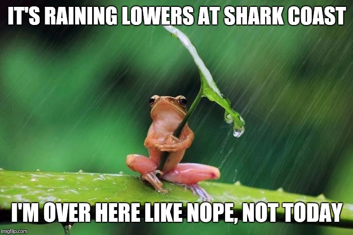 Frog with umbrella | IT'S RAINING LOWERS AT SHARK COAST; I'M OVER HERE LIKE NOPE, NOT TODAY | image tagged in frog with umbrella | made w/ Imgflip meme maker