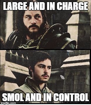 warcraftlt | LARGE AND IN CHARGE; SMOL AND IN CONTROL | image tagged in warcraftlt | made w/ Imgflip meme maker