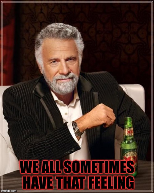 The Most Interesting Man In The World Meme | WE ALL SOMETIMES HAVE THAT FEELING | image tagged in memes,the most interesting man in the world | made w/ Imgflip meme maker