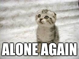 Sad Cat Meme | ALONE AGAIN | image tagged in memes,sad cat | made w/ Imgflip meme maker