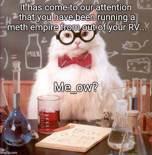 Me_ow? | It has come to our attention that you have been running a meth empire from out of your RV... Me_ow? | image tagged in science cat,funny,me_ow,memes | made w/ Imgflip meme maker