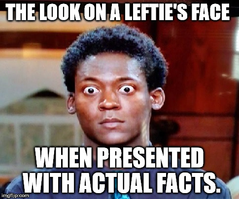 The Liberal Left can't stand the facts! | THE LOOK ON A LEFTIE'S FACE; WHEN PRESENTED WITH ACTUAL FACTS. | image tagged in politics,liberal logic,funny,lmao | made w/ Imgflip meme maker