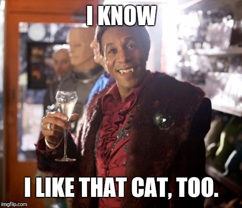 I KNOW I LIKE THAT CAT, TOO. | made w/ Imgflip meme maker