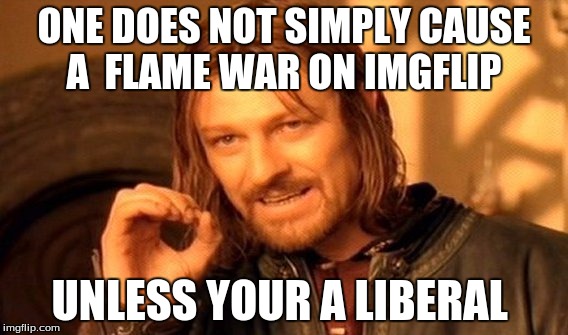 One Does Not Simply |  ONE DOES NOT SIMPLY CAUSE A 
FLAME WAR ON IMGFLIP; UNLESS YOUR A LIBERAL | image tagged in memes,one does not simply | made w/ Imgflip meme maker