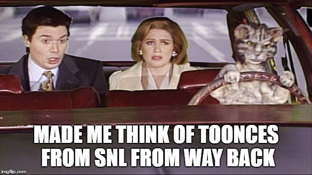 MADE ME THINK OF TOONCES FROM SNL FROM WAY BACK | made w/ Imgflip meme maker