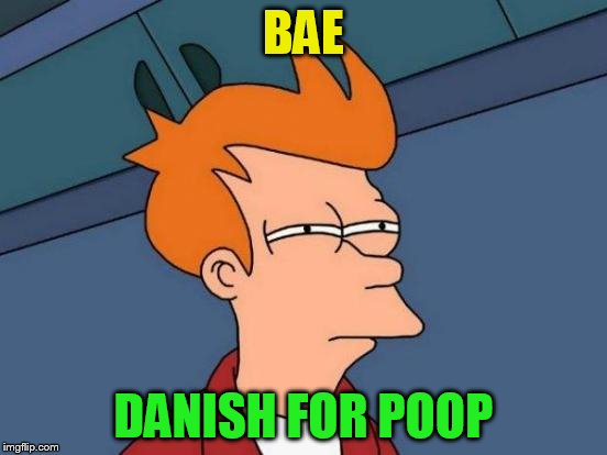 Futurama Fry Meme | BAE DANISH FOR POOP | image tagged in memes,futurama fry | made w/ Imgflip meme maker