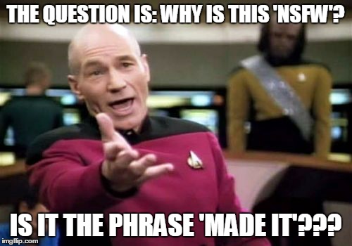Picard Wtf Meme | THE QUESTION IS: WHY IS THIS 'NSFW'? IS IT THE PHRASE 'MADE IT'??? | image tagged in memes,picard wtf | made w/ Imgflip meme maker