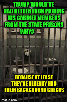 prisoncell | TRUMP WOULD'VE HAD BETTER LUCK PICKING HIS CABINET MEMBERS FROM THE STATE PRISONS WHY? BECAUSE AT LEAST THEY'VE ALREADY HAD THEIR BACKGROUND CHECKS | image tagged in prisoncell | made w/ Imgflip meme maker
