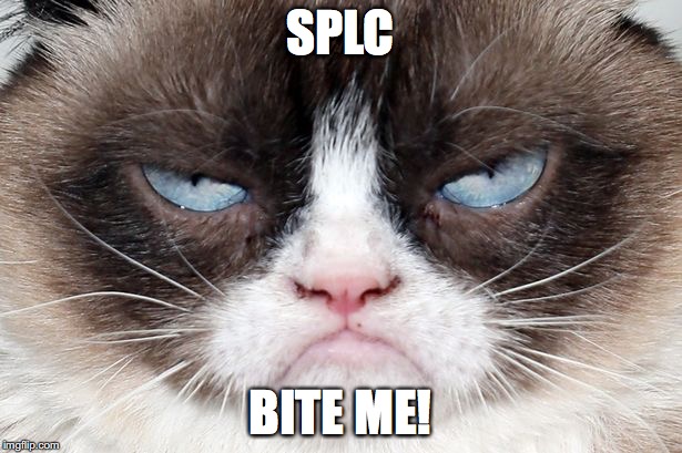 SPLC; BITE ME! | image tagged in grumpy 2 | made w/ Imgflip meme maker