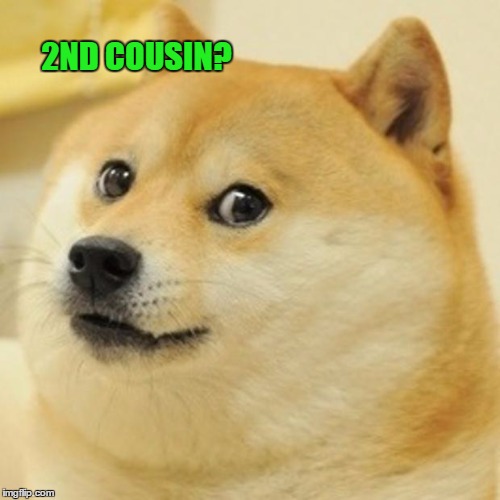 Doge Meme | 2ND COUSIN? | image tagged in memes,doge | made w/ Imgflip meme maker
