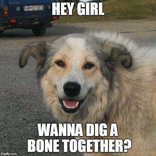 Took this photo a few years ago, decided it's time to make a meme. | HEY GIRL; WANNA DIG A BONE TOGETHER? | image tagged in dog face bone girl | made w/ Imgflip meme maker