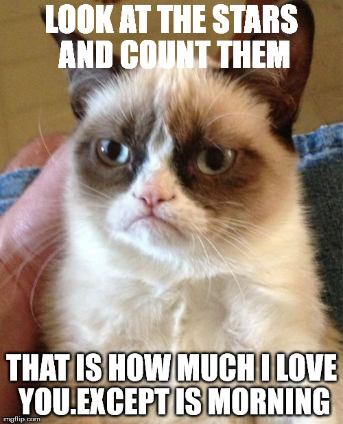 Grumpy Cat Meme | LOOK AT THE STARS AND COUNT THEM; THAT IS HOW MUCH I LOVE YOU.EXCEPT IS MORNING | image tagged in memes,grumpy cat | made w/ Imgflip meme maker