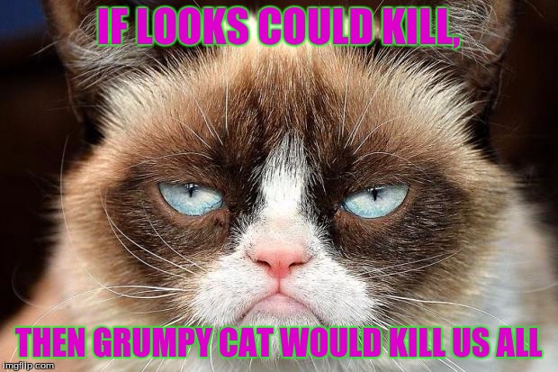 I´d like to give the credit of making this meme to my classmate naomi because she gave me the idea for this meme |  IF LOOKS COULD KILL, THEN GRUMPY CAT WOULD KILL US ALL | image tagged in memes,grumpy cat not amused,grumpy cat | made w/ Imgflip meme maker