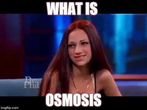 Roses are red This booty is phat  Cash me ousside Howboudah?  | WHAT IS; OSMOSIS | image tagged in roses are red this booty is phat  cash me ousside howboudah | made w/ Imgflip meme maker