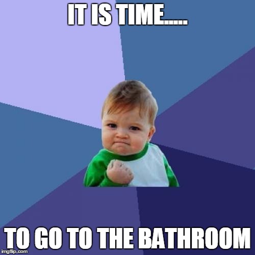 Success Kid | IT IS TIME..... TO GO TO THE BATHROOM | image tagged in memes,success kid | made w/ Imgflip meme maker
