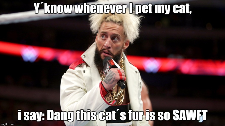 Enzo Amore | Y´know whenever I pet my cat, i say: Dang this cat´s fur is so SAWFT | image tagged in enzo amore | made w/ Imgflip meme maker