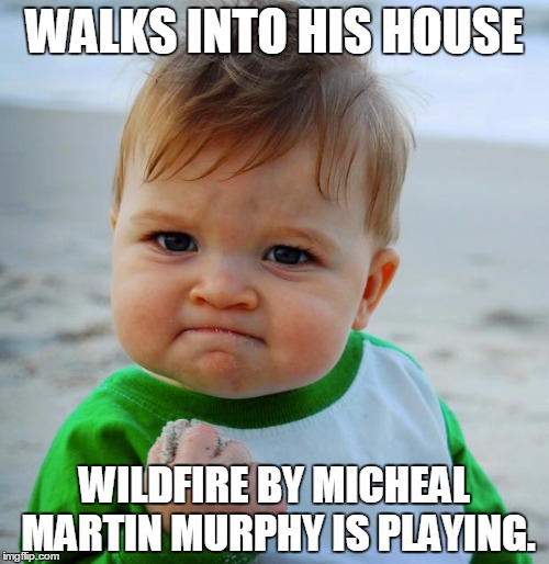 Wildfire FTW! | WALKS INTO HIS HOUSE; WILDFIRE BY MICHEAL MARTIN MURPHY IS PLAYING. | image tagged in success baby | made w/ Imgflip meme maker