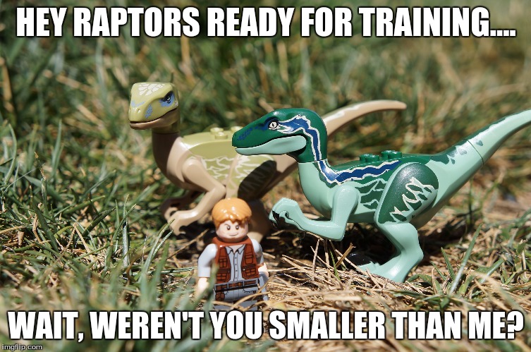 HEY RAPTORS READY FOR TRAINING.... WAIT, WEREN'T YOU SMALLER THAN ME? | image tagged in akward turtle | made w/ Imgflip meme maker