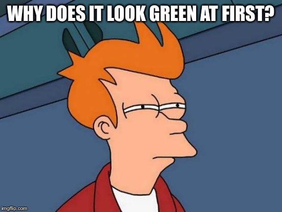 Futurama Fry Meme | WHY DOES IT LOOK GREEN AT FIRST? | image tagged in memes,futurama fry | made w/ Imgflip meme maker