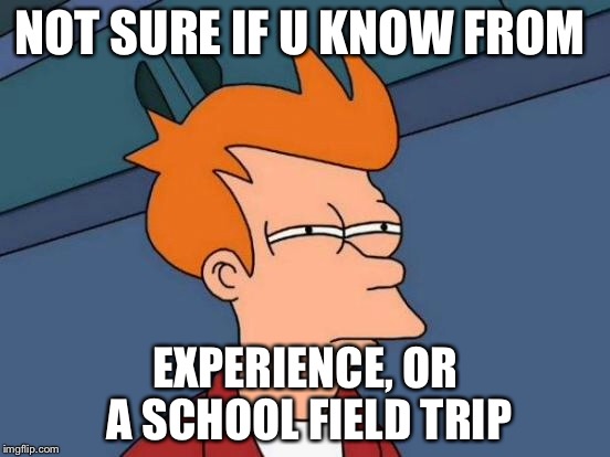 Futurama Fry Meme | NOT SURE IF U KNOW FROM EXPERIENCE, OR A SCHOOL FIELD TRIP | image tagged in memes,futurama fry | made w/ Imgflip meme maker