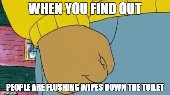 Arthur Fist Meme | WHEN YOU FIND OUT; PEOPLE ARE FLUSHING WIPES DOWN THE TOILET | image tagged in memes,arthur fist | made w/ Imgflip meme maker