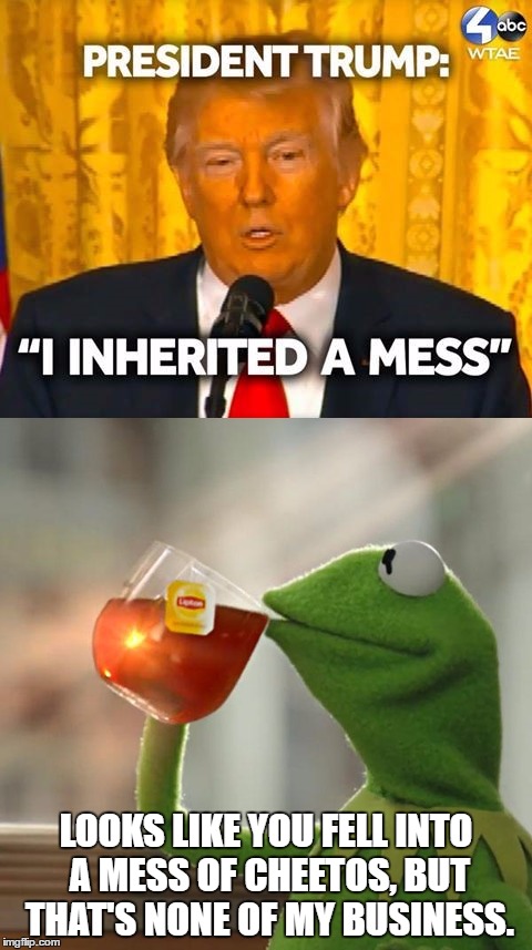 Trump inherits a mess | LOOKS LIKE YOU FELL INTO A MESS OF CHEETOS, BUT THAT'S NONE OF MY BUSINESS. | image tagged in trump,kermit the frog,mess | made w/ Imgflip meme maker
