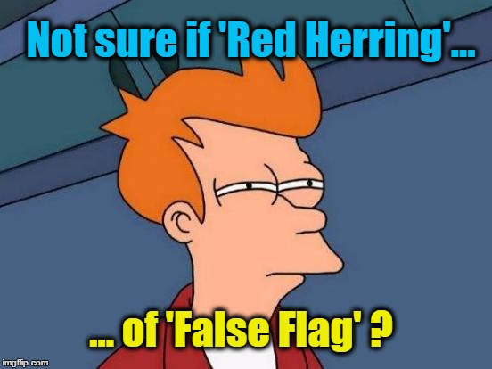 Futurama Fry | Not sure if 'Red Herring'... ... of 'False Flag' ? | image tagged in memes,futurama fry | made w/ Imgflip meme maker