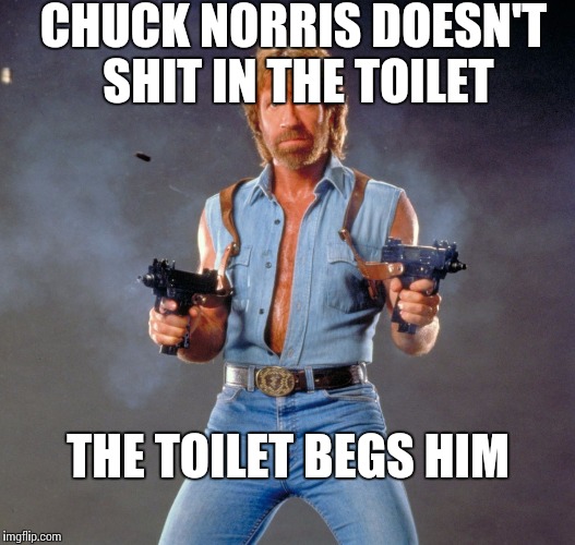 Chuck Norris Guns | CHUCK NORRIS DOESN'T SHIT IN THE TOILET; THE TOILET BEGS HIM | image tagged in memes,chuck norris guns,chuck norris | made w/ Imgflip meme maker