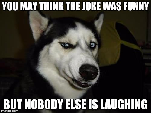 Funny Dog | YOU MAY THINK THE JOKE WAS FUNNY; BUT NOBODY ELSE IS LAUGHING | image tagged in funny dog | made w/ Imgflip meme maker