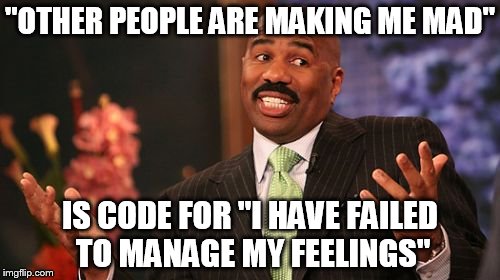 "OTHER PEOPLE ARE MAKING ME MAD"; IS CODE FOR "I HAVE FAILED TO MANAGE MY FEELINGS" | image tagged in memes,steve harvey | made w/ Imgflip meme maker