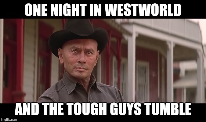 ONE NIGHT IN WESTWORLD AND THE TOUGH GUYS TUMBLE | made w/ Imgflip meme maker