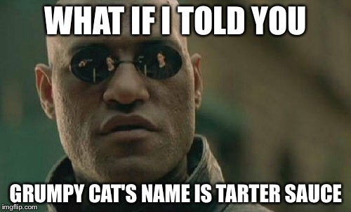 Matrix Morpheus Meme | WHAT IF I TOLD YOU GRUMPY CAT'S NAME IS TARTER SAUCE | image tagged in memes,matrix morpheus | made w/ Imgflip meme maker