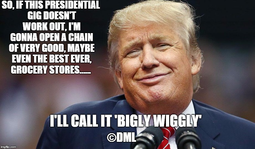 THE DONALD | SO, IF THIS PRESIDENTIAL GIG DOESN'T WORK OUT, I'M GONNA OPEN A CHAIN OF VERY GOOD, MAYBE EVEN THE BEST EVER, GROCERY STORES...... I'LL CALL IT 'BIGLY WIGGLY'; ©DML | image tagged in piggly wiggly,the donald,donald trump,grocery store,grocery chain | made w/ Imgflip meme maker