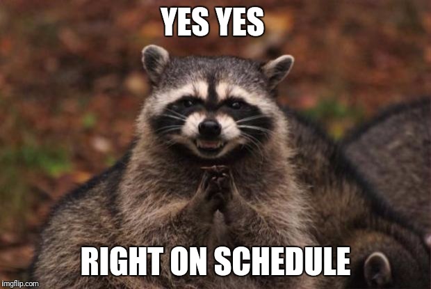 evil genius racoon | YES YES; RIGHT ON SCHEDULE | image tagged in evil genius racoon | made w/ Imgflip meme maker