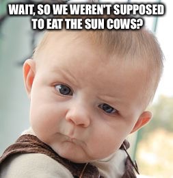 Skeptical Baby Meme | WAIT, SO WE WEREN'T SUPPOSED TO EAT THE SUN COWS? | image tagged in memes,skeptical baby | made w/ Imgflip meme maker