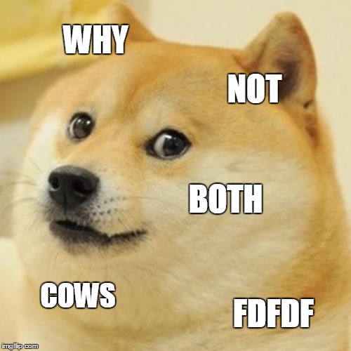 Doge Meme | WHY NOT BOTH COWS FDFDF | image tagged in memes,doge | made w/ Imgflip meme maker