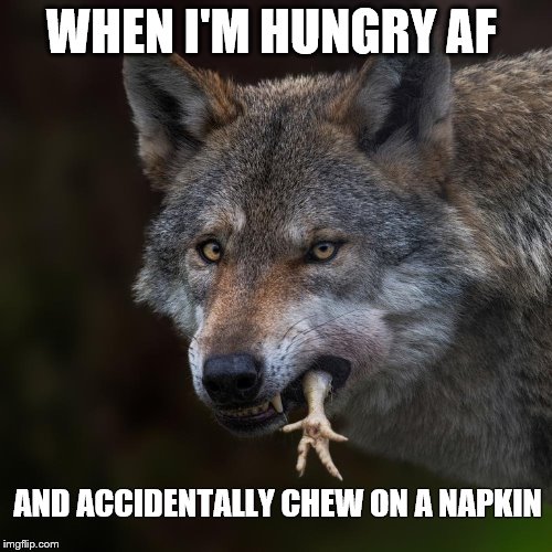 WHEN I'M HUNGRY AF; AND ACCIDENTALLY CHEW ON A NAPKIN | image tagged in hungry wolf | made w/ Imgflip meme maker