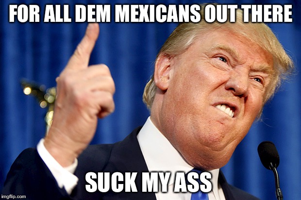 Donald Trump | FOR ALL DEM MEXICANS OUT THERE; SUCK MY ASS | image tagged in donald trump | made w/ Imgflip meme maker