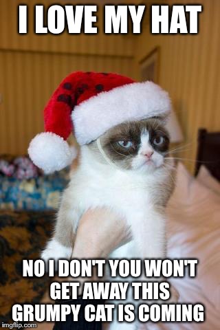 Grumpy Cat Christmas | I LOVE MY HAT; NO I DON'T YOU WON'T GET AWAY THIS  GRUMPY CAT IS COMING | image tagged in memes,grumpy cat christmas,grumpy cat | made w/ Imgflip meme maker