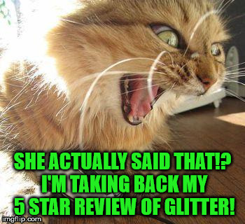 SHE ACTUALLY SAID THAT!? I'M TAKING BACK MY 5 STAR REVIEW OF GLITTER! | made w/ Imgflip meme maker