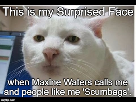Surprised Face | This is my Surprised Face; when Maxine Waters calls me and people like me 'Scumbags'. | image tagged in surprised face,maxine waters | made w/ Imgflip meme maker