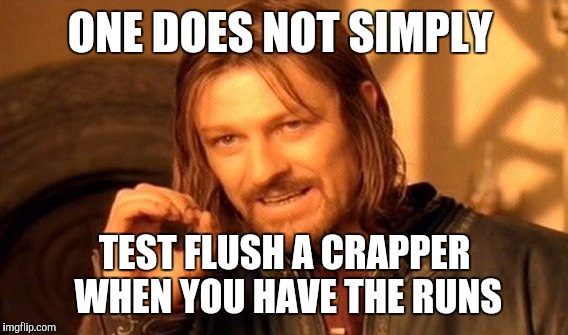 One Does Not Simply Meme | ONE DOES NOT SIMPLY TEST FLUSH A CRAPPER WHEN YOU HAVE THE RUNS | image tagged in memes,one does not simply | made w/ Imgflip meme maker